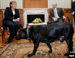 ანგელა მერკელი, ვლადიმერ პუტინი და მისი ძაღლი კონი. სოჭი, რუსეთი 2007 წლის 21 იანვარი