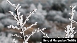 У північній частині України цієї ночі на поверхні ґрунту очікуються заморозки 0-5°