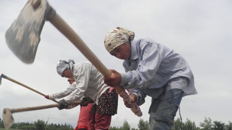 Кыргызстандагы ички миграциянын абалы иликтенип чыкты