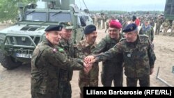 Exerciții NATO „Brilliant Jump 2016”, în Polonia