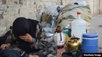 پاسخ به:از انقلاب پا برهنگان چه خبر؟(نظر بدهید)