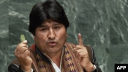 Эво Моралес на трибуне Генассамблеи ООН с листом коки в руке