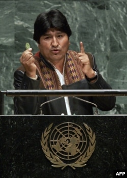 Президент Боливии Эво Моралес, один из главных популяризаторов коки, на трибуне ООН