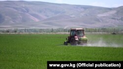 Весенние полевые работы в Джалал-Абадской области.