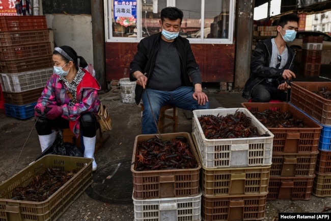 Уличная торговля креветками на рынке в городе Ухань. Апрель 2020 года