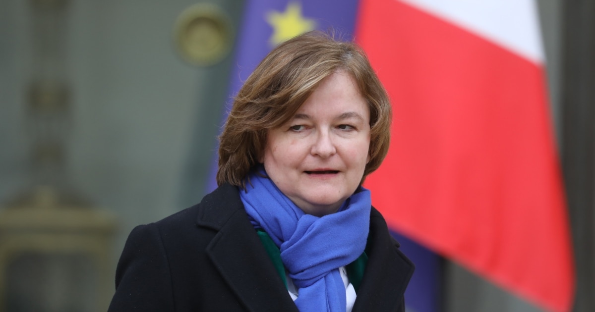 თუ სსრკ არ მოსწონს, რატომ „აკოპირებს“ მის მეთოდებს? - ევროპარლამენტარი ლუაზო კობახიძეზე