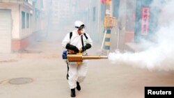 Radnik u zaštitnom odijelu dezinficira kinesko selo Dongsinzuang u kojima se pojavio koronavirus, 29. januar, 2020. 