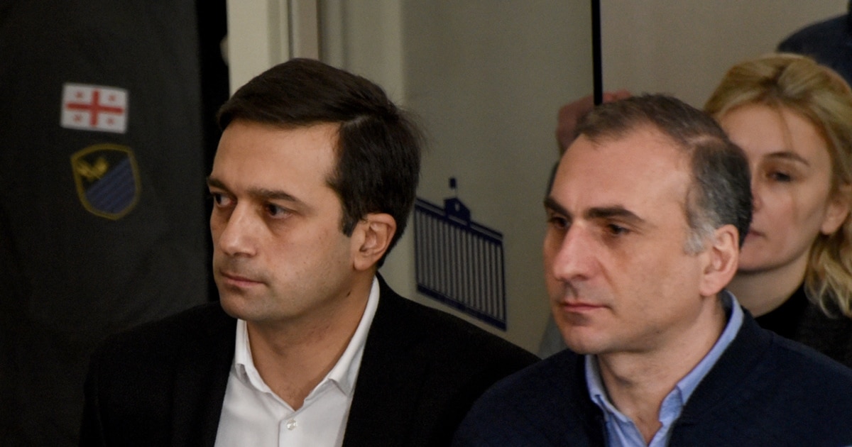 იოსელიანი: ალეკოს უდანაშაულობაზე არავინ საუბრობს, სასჯელი უნდა იყოს სამართლიანი