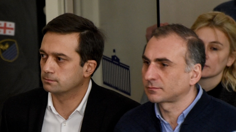 სახალხო დამცველმა ალეკო ელისაშვილი საპატიმროში მოინახულა