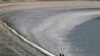 «تنها آبزی پرسلولی دریاچه ارومیه در حال انقراض است»