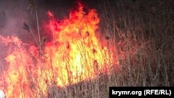 Иллюстратив сурат.