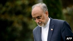 Ali Akbar Salehi