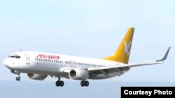 Avion al companiei Pegasus Airlines.