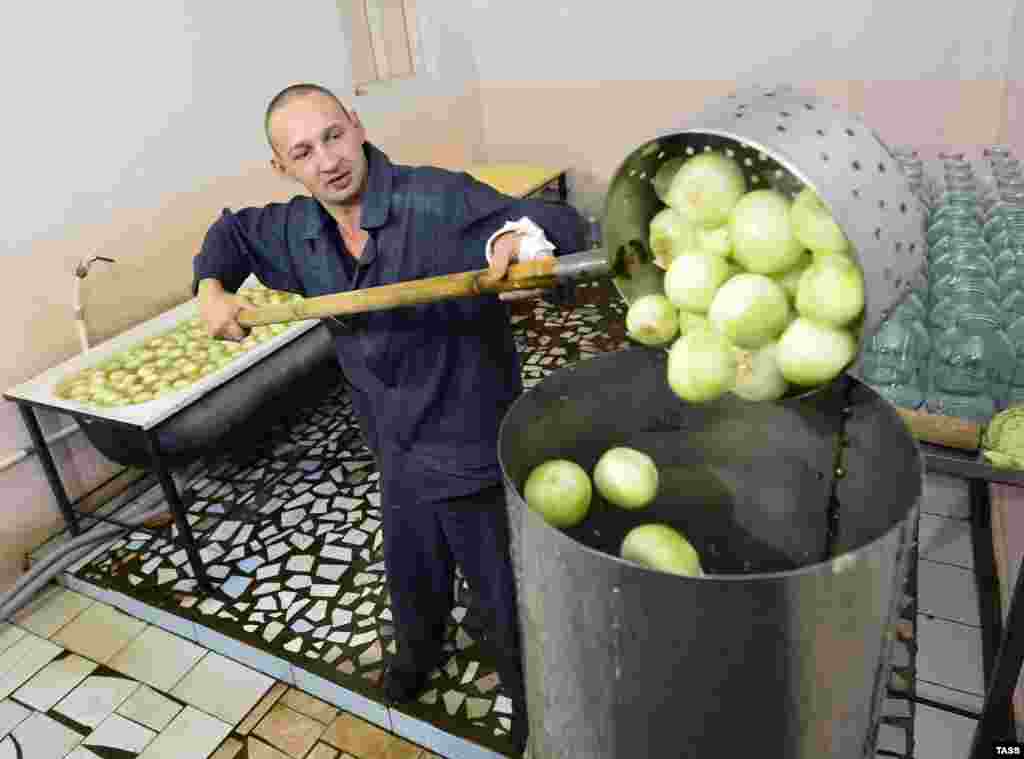 За первые несколько дней работы заключенные закатали почти​&nbsp;12,5 тонн маринованных овощей, это свыше 4000 трехлитровых банок