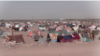 Internally displaced people, mainly from Badghis, Faryab, and Ghor provinces, live in tents in on the outskirts of Herat.