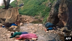Жертвы химической атаки в курдском городе Халабджа (март 1988 года).