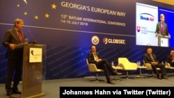 Йоганнес Ган (л) на конференції в Батумі, 14 липня 2016 року