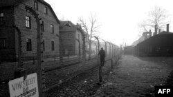 Pamje nga Auschwitzi