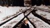 Канцлер ФРГ Ангела Меркель на фоне исторической фотографии Освенцима