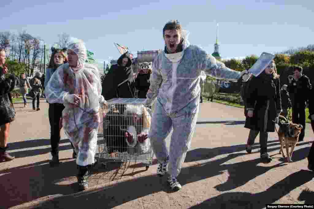 Only 2,000 Russians rallied across the country, but activists say their mere existence is a sign of how the Internet -- and with it rising awareness of animal cruelty -- is rapidly transforming what has long been a nonissue in Russia into a hot topic for the younger generation.