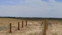 Кладбище для жертв коронавируса под Алматы. 16 июня 2020 года.