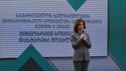 Екатерина Тикарадзе на презентации антикризисного плана