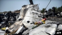 Место авиакатастрофы «Боинга-777», Донецкая область, июль 2014 года.