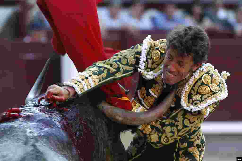 Spanish matador Manuel Escribano has his hands full during a bullfight at the Las Ventas bullring in Madrid. (epa/Javier Lizon)