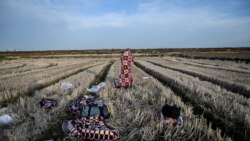 Migrant u Turskoj u blizini granice s Grčkom, 3. mart