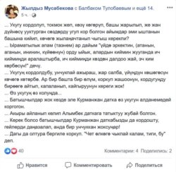 Критика депутата Жогорку Кенеша Жылдыз Мусабековой в адрес феминнале.