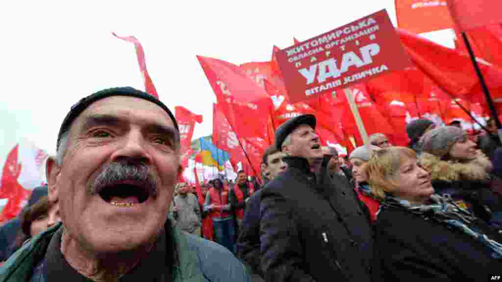 Supporters of world boxing champion Vitali Klitschko carry the flag of his Udar (Punch) party.