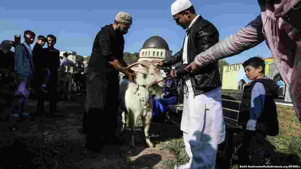 Это может быть баран, коза или корова. Шкуру убитого животного отдают в мечеть