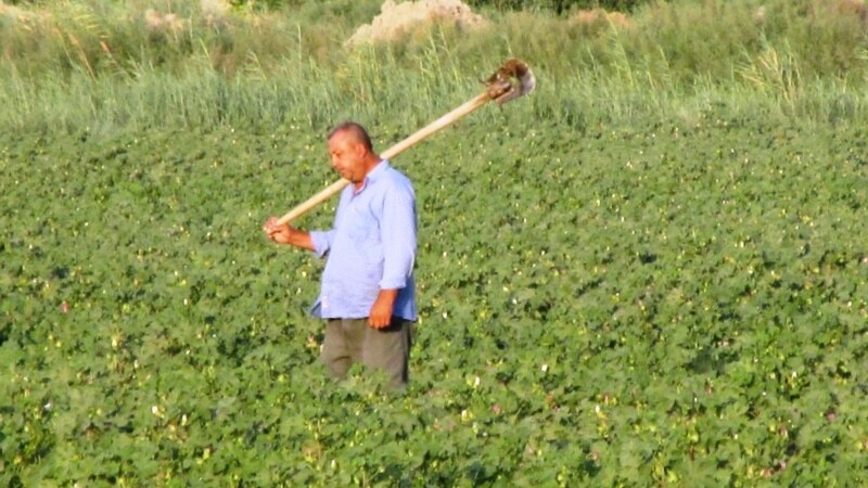 Türkmenistanyň Agrar partiýasy nobatdan daşary III gurultaýyny geçirýär