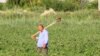 Фермеры Балканской области Туркменистана облагаются налогом за невыполненный план