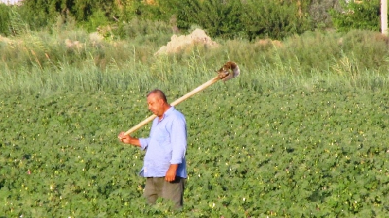 Dökünler bilen üpjün edilmeýän balkanly daýhanlar awy pürküjileri satyn almaga mejbur edilýär