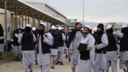 زندانیان طالبان که از زندان بگرام رها شدند