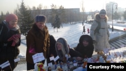 Protesters use toys to hold a "nano demonstration" in the Siberian city of Barnaul.