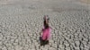تغییرات اقلیمی و بحران آب،یکی از چالش‌های کلیدی جهان گزارش شده است. عکس احمدآباد هند
