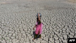 Засуха ў Індыі 
