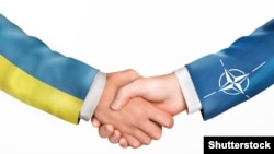 Генеричка фотографија-ракување НАТО и Украина