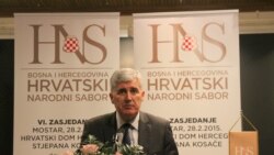 Slučaj Čovića i HNS-a jedan od primjera u kojem je neformiranje komisije imalo posljedice