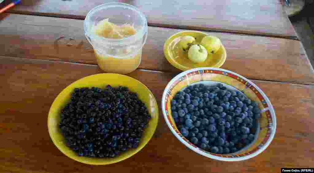 Belarus -- bilberry, blueberry, honey, general