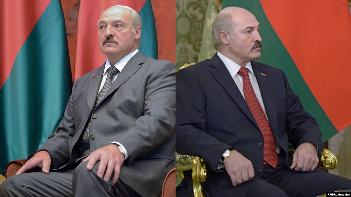 Что должно быть на столе в год Собаки 2019 Где встретить Новый год 2019 в России: лучшие варианты