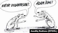 Rəşid Şerifin karikaturası