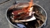 UKRAINE – Russians Mikhail Kuznetsov and Mira Kuznetsova, who lived in St. Petersburg, burned their passports of citizens of the Russian Federation in protest against Russia's aggression against Ukraine. Lviv, May 6, 2014