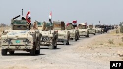 Իրաքի զինված ուժերը Ֆալուջա քաղաքի հարավային ալ-Շուհադա արվարձանի մատույցներում, 3-ը հունիսի, 2016թ․