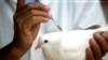 Китайские птицы уже познакомились с прививкой