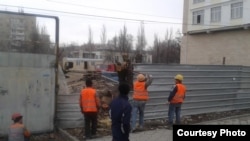 Работники компании обрубают дерево. Фото мэрии Бишкека. 