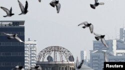 Porumbei deasupra Domului bombei atomice în timpul ceremoniei de la Parcul Păcii, Hiroșima, 6 august 2015.