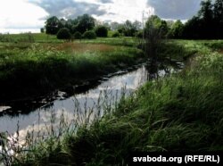 Сярэдзіна басэйна Гавязьнянкі. Ваколіцы вёсак Вішнявец і Ахрэмавічы. Стаўпецка-нясьвіскае Панямоньне, 2011